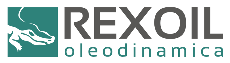 Sae Flex e Rexoil insieme per un service oleodinamico tutto italiano logo_web Sae Flex Rexoil